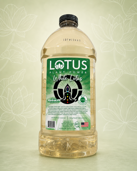 Lotus Plant Power Energy Drink Concentrate PP7 Formula, 64 fl oz
