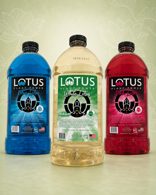Lotus Plant Power Energy Drink Concentrate PP7 Formula, 64 fl oz