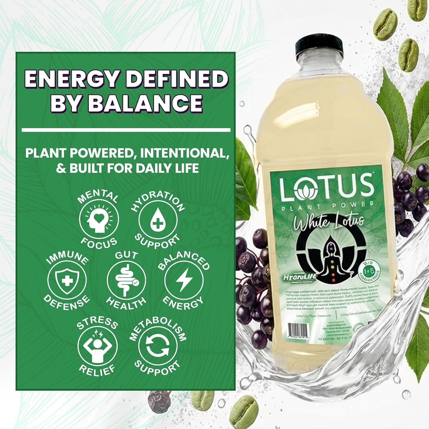 Lotus Plant Power Energy Drink Concentrate PP7 Formula, 64 fl oz