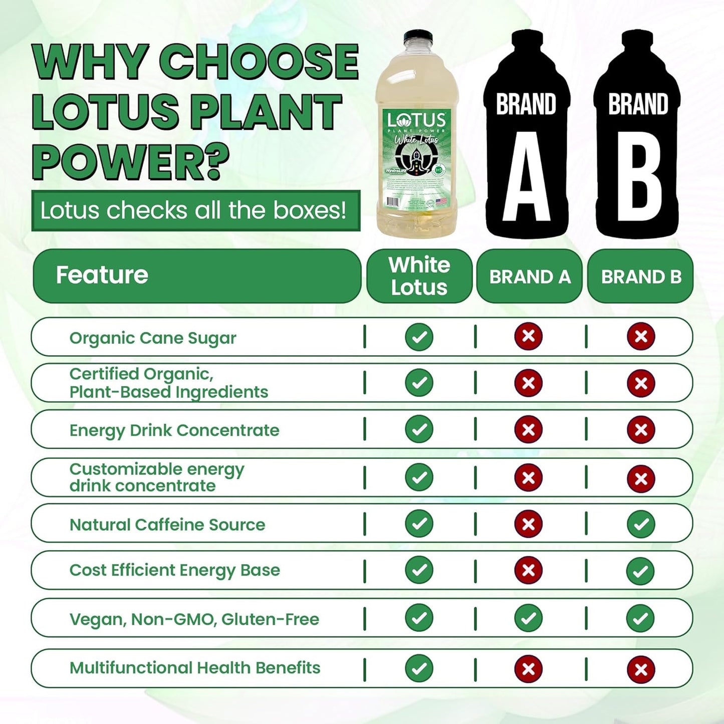 Lotus Plant Power Energy Drink Concentrate PP7 Formula, 64 fl oz